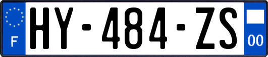 HY-484-ZS