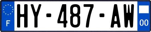 HY-487-AW