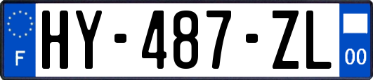 HY-487-ZL