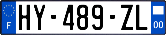 HY-489-ZL