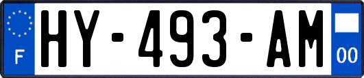 HY-493-AM