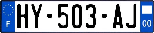HY-503-AJ