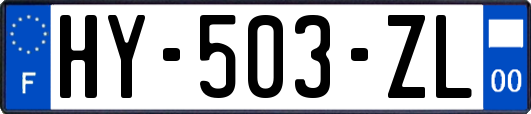 HY-503-ZL