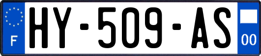 HY-509-AS