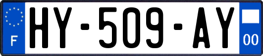 HY-509-AY