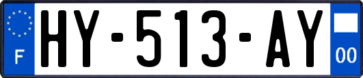 HY-513-AY