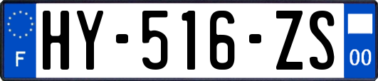 HY-516-ZS