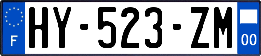 HY-523-ZM
