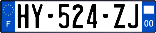 HY-524-ZJ