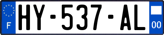 HY-537-AL