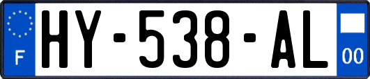 HY-538-AL
