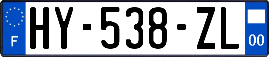 HY-538-ZL