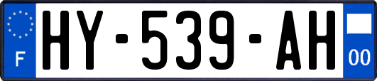 HY-539-AH