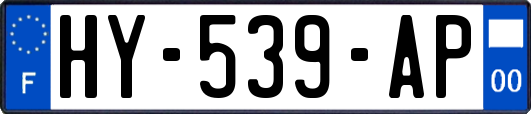 HY-539-AP