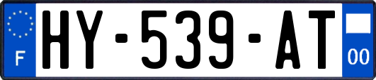 HY-539-AT