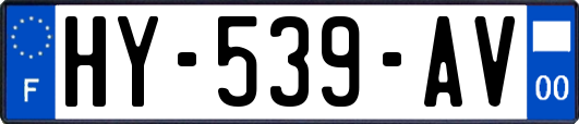 HY-539-AV