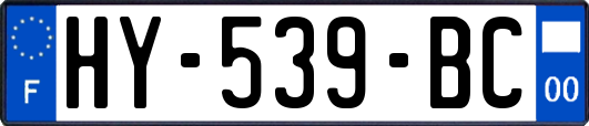 HY-539-BC