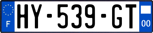 HY-539-GT