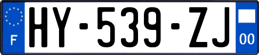 HY-539-ZJ