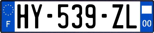 HY-539-ZL