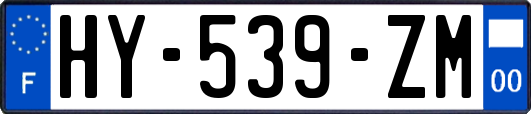 HY-539-ZM