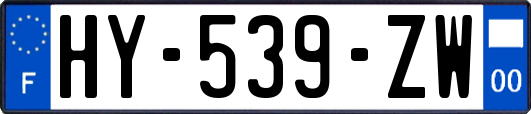 HY-539-ZW