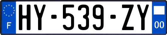 HY-539-ZY