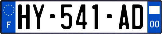 HY-541-AD