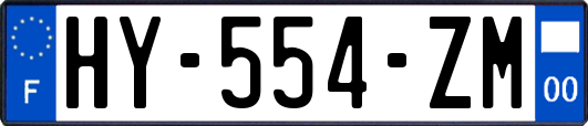 HY-554-ZM