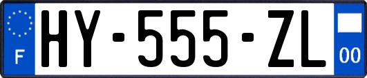 HY-555-ZL