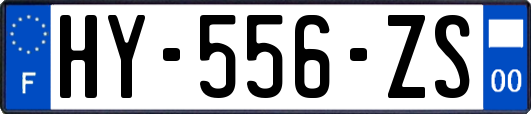 HY-556-ZS