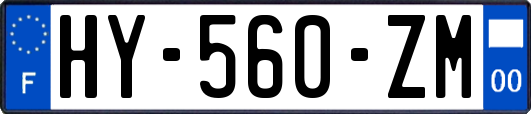HY-560-ZM