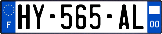 HY-565-AL