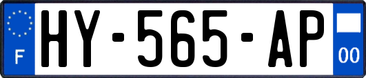 HY-565-AP