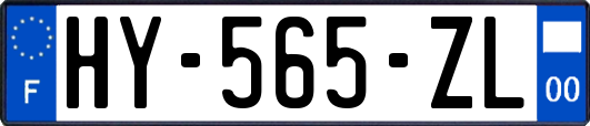 HY-565-ZL