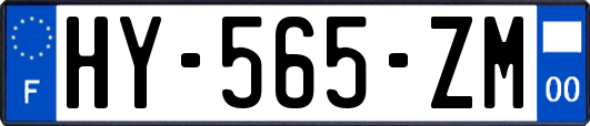 HY-565-ZM