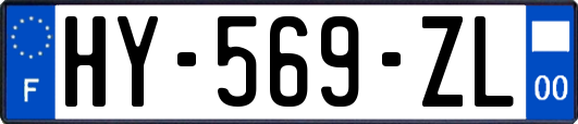 HY-569-ZL