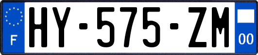HY-575-ZM