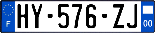 HY-576-ZJ