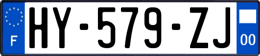HY-579-ZJ