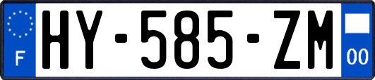 HY-585-ZM