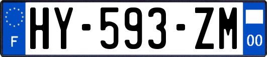 HY-593-ZM