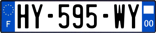 HY-595-WY