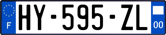 HY-595-ZL