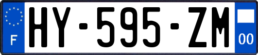 HY-595-ZM