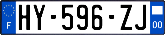 HY-596-ZJ