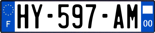 HY-597-AM
