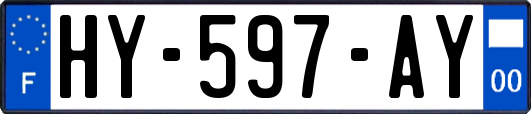 HY-597-AY