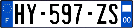 HY-597-ZS