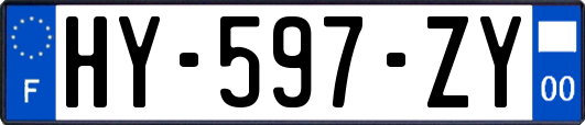 HY-597-ZY
